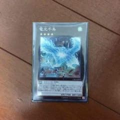 電光千鳥のサムネイル