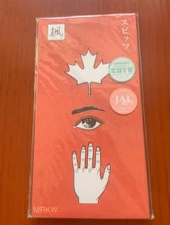 廃盤】スピッツ 19thシングル 『楓 / スピカ』8㎝CD - メルカリ