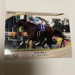 EPOCH 2026 エンブロイダリー 第30回 秋華賞のサムネイル