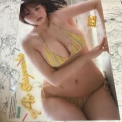 篠崎愛ヤングチャンピオン クリアファイルのサムネイル