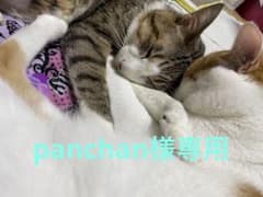 panchan様専用のサムネイル