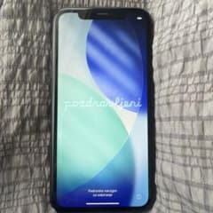 Apple iPhone 11 본체 256GB