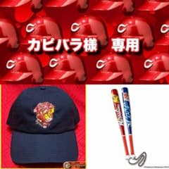 カピバラ様 リクエスト 2点 まとめ商品 カープ ポケモン - メルカリ