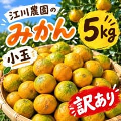 江川農園 有田みかん　極早生みかん ゆら早生　5kg 小玉 訳あり 農家直送のサムネイル