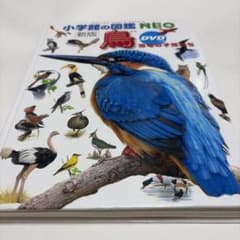 【DVD付】小学館の図鑑NEO鳥新版 ドラえもんのサムネイル