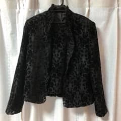 超美品☆オーガンジーのアンサンブルのサムネイル