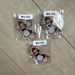 わかなはなび×ウェブポン アクリルキーホルダー 【F】 3個セットのサムネイル