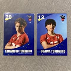 トレカ ダブル守護神 リベロ 山本智大 & 小川智大 男子バレー日本代表