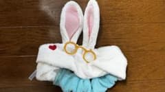 白うさぎ ヘアバンド 不思議の国のアリス ディズニーのサムネイル