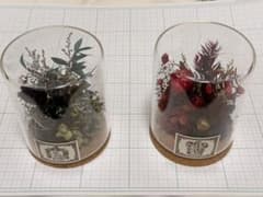 プリザーブドフラワー ガラスドームアレンジメント 赤 緑 ハリー