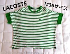 【中古品】Lacoste 緑と白のストライプ 半袖Tシャツのサムネイル
