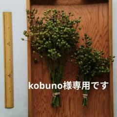 kobuno様専用　野ばらの実　グリーン花材　ドライフラワー　スワッグ　リース - 2