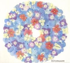 ★アジサイと小花のセット★押し花素材のサムネイル