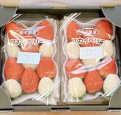 栃木県産　いちご紅白詰め合わせのサムネイル