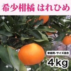 はれひめ　家庭用　4キロ サイズ混合のサムネイル