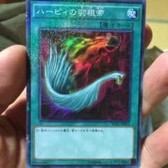 ハーピーの羽根箒のサムネイル