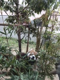 専用です❤のサムネイル