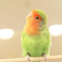ディズニー大好き様専用のサムネイル