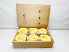 未使用 茶道具 雅風軒雅康作 赤 楽茶碗 6客 数茶碗 津島窯 陶印 共布