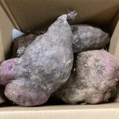 タニ様専用和歌山県産紫つくね芋20kg - メルカリ