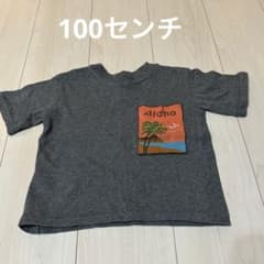 マーキーズ、キッズTシャツ100センチのサムネイル