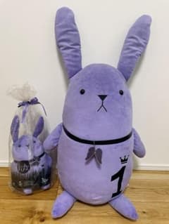 ツキウタ。　ツキウサ　1月