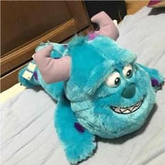 新品サリーぬいぐるみのサムネイル