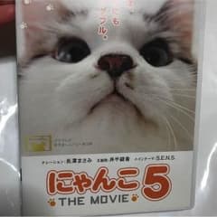 にゃんこDVD値下げのサムネイル