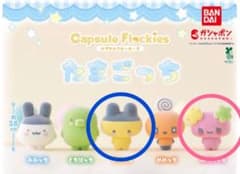 たまごっち カプセルフロッキーズ ふらわっち まめっちのサムネイル