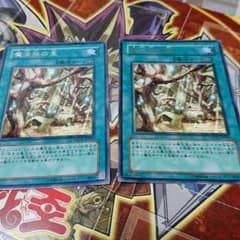 魔法族の里 2枚のサムネイル