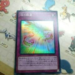魂の転身１枚のサムネイル