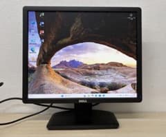 DELL E1913Sc 19-inch LCD monitor VGA
