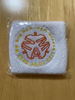 水瀬いのり　リストバンドのサムネイル