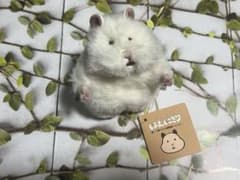 はむにぎり おもち ハムスター LivHeart りぶはあと 新品タグ付きのサムネイル