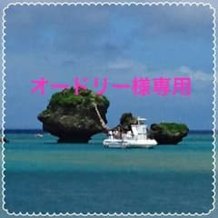 アンナコレクションエナメルバレエシューズ23.0のサムネイル
