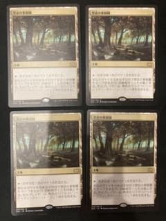 MTG 禁忌の果樹園 4枚セット - メルカリ