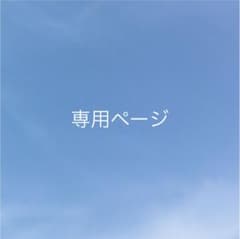 専用ページのサムネイル