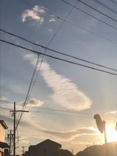 れいこ様　専用です＾＾のサムネイル