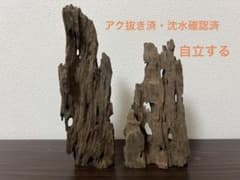 XM-500 流木 マシンガンウッド アクアリウム ブランチウッド 沈水確認