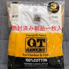 グンゼ GT HAWKINS 半袖VネックTシャツ 1枚のサムネイル