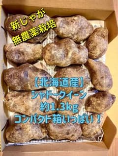 ラスト3箱　【北海道産】シャドークイーン　新じゃが　無農薬栽培のサムネイル