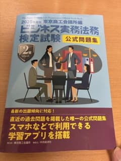 【11/19値下げ】2025年度 ビジネス実務法務検定 公式問題集のサムネイル