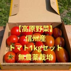【高原野菜】信州産トマト1kgセット　サンマルツァーノ他のサムネイル