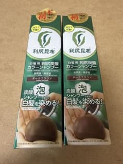 ダークブラウン】利尻昆布 利尻炭酸カラーシャンプー 2本セット - メルカリ
