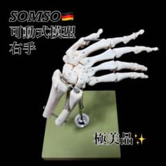 極美品】SOMSO ソムソ 手関節 骨模型 ゴム可動 解剖 ドイツ製 教材 