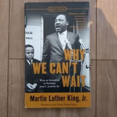 WHY WE CAN'T WAITのサムネイル