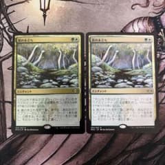 MTG 真の木立ち 2枚 日本語 通常1枚 エッチングfoil 1枚 - メルカリ