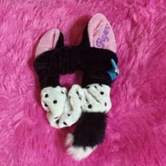 ディズニーシュシュ♡のサムネイル
