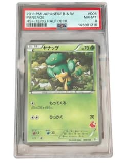 ヤナップ　psa8 ポケモンカード　ポケカのサムネイル