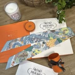 HERMESエルメス ツイリー スプラッシュパーク タツノオトシゴシルク